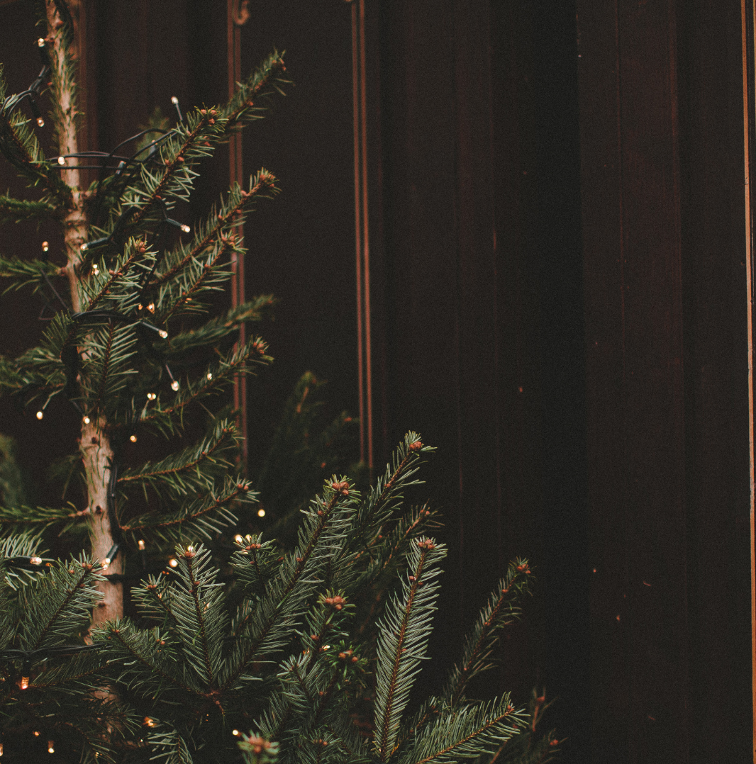 Festive Season at The Millstone