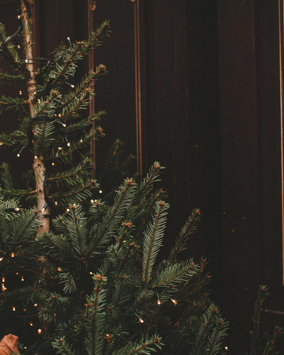 Festive Specials & NYE Menus